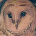 Tattoos - Owl - 39151