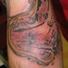 Tattoos -  - 41677
