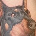 Tattoos - Doberman - 39153