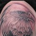 Tattoos - Photo realistic Eagle - 41680