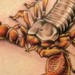 Tattoos - scorpian tattoo - 48403