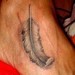 Tattoos - Photo realistic feather tattoo - 44158