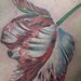 Tattoos -  - 41681