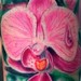 Tattoos - Orchid - 39016