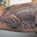 Tattoos - Koi Fish - 41688