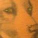 Tattoos - Pitbull - 56421
