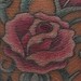 Tattoos - Roses - 39030