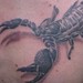 Tattoos - Scorpian Tattoo - 41698