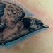 Tattoos - Swallow Tattoo - 44173