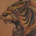 Tattoos - Tiger - 39200
