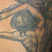 Tattoos - Tree Ladies - 32322