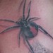 Tattoos - Black Widow Tattoo - 41700