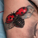 tattoo galleries/ - TATTOO PARIS AVIGNON FRANCE, TATOUAGE PARIS AVIGNON TATTOOS,TATOUEUR PARIS, BOUTIQUE TATTOO PARIS, BOUTIQUE TATOUAGE AVIGNON