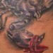 tattoo galleries/ - Scorpion - 44522