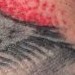 tattoos/ - Crow Hand Tattoo - 52765