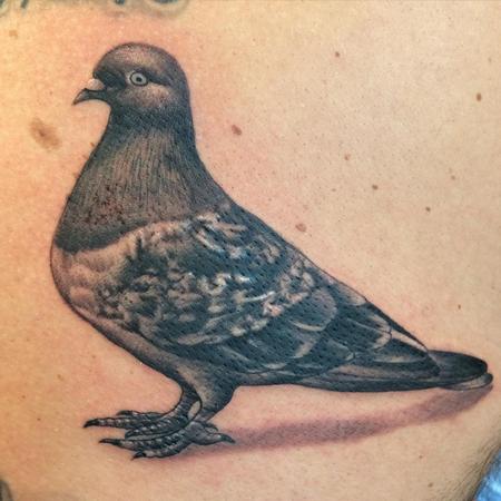 Tattoos - Pigeon - 108277