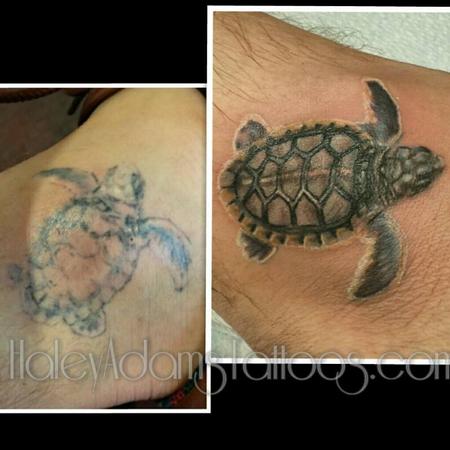 Haley Adams - before and after turtle tattoo