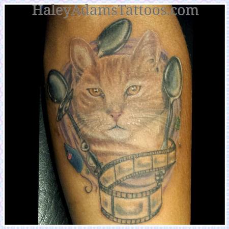 Haley Adams - Ziggy the cat as an adult on dark skin