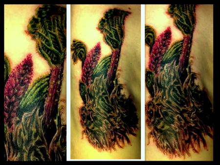 Haley Adams -  Rhubarb tattoo on ribs
