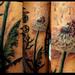 Tattoos - dandelion tattoo - 77304
