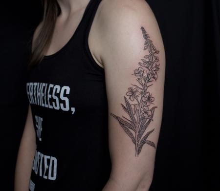 Tattoos - Black fireweed botanical illustration tattoo on upper arm - 128966