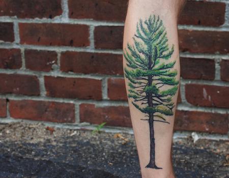 Tattoos - Tree tattoo on Kyle. Healed - 128611