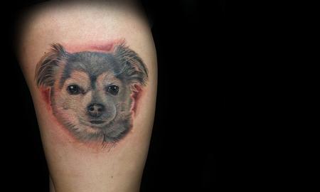 Tattoos - Long coated Chihuahua portrait - 133024