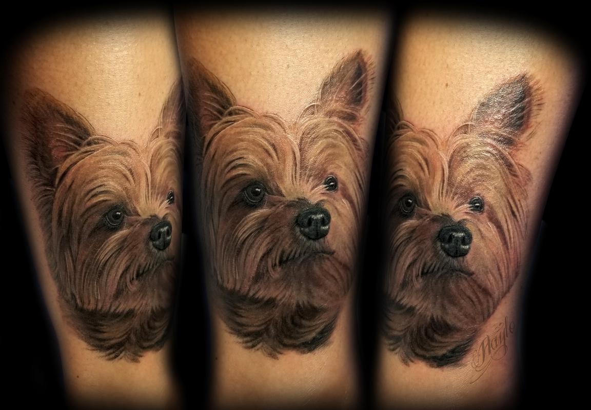 Realistic Yorkshire terrier, cover up, ankle piece by Haylo Tattoos