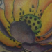 tattoos/ - Color lotus tattoo - 51911