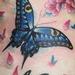tattoo galleries/ - Color Butterfly Tattoo