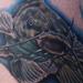 Tattoos - Realistic Cat Fish Tattoo - 63967