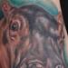 Tattoos - Realistic Hippo Tattoo - 63970