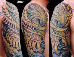 Guy Aitchison - Bio Coverup