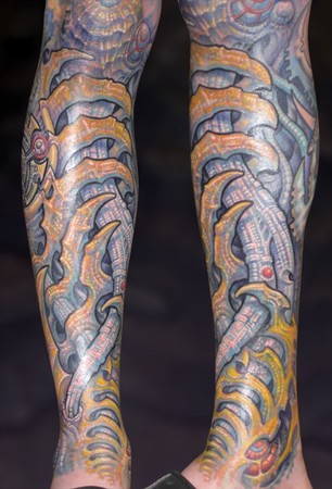 Guy Aitchison - Bio leg half sleeve