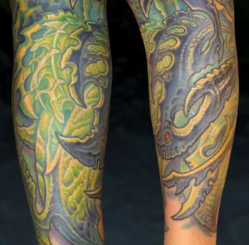 Guy Aitchison - Bio Half sleeve