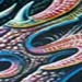 tattoo galleries/ - untitled