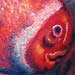 tattoo galleries/ - Clown Fish