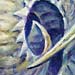 tattoo galleries/ - Organic Coil 10