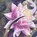 tattoo galleries/ - Dan Henk Collaboration