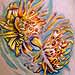tattoo galleries/ - Flowers in Water - 29079