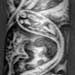 tattoo galleries/ - Black and Grey Bio Sleeve