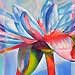 tattoo galleries/ - Lotus Reflections - 30515