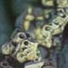tattoo galleries/ - Big Blur