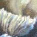 tattoo galleries/ - Coral Painting