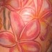 tattoos/ - untitled - 40203