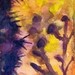 Art Galleries - Hypersketch #23 - 42729