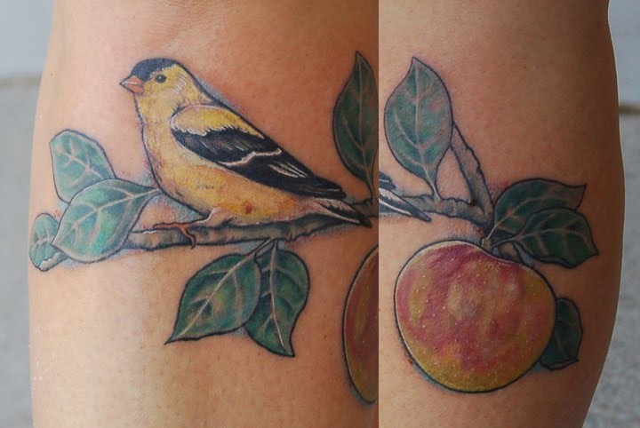 Bird on an Apple Branch