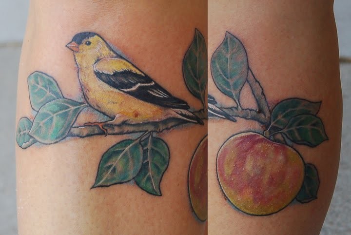 Bird on an Apple Branch Bird on an Apple Branch