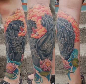 Shawn Hebrank - 