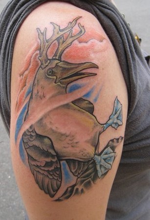 Shawn Hebrank - Blue-footed Boobie